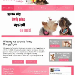 Wygląd strony internetowej firmy groomerskiej DoogyStyle z uśmiechniętym Yorkiem, menu nawigacyjnym, hasłem reklamowym 'Spraw aby Twój pies wyszedł na ludzi' oraz informacjami kontaktowymi i logo...