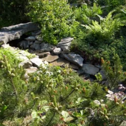 Aranżacja ogrodu z kamiennym mostkiem nad strumieniem, bujna roślinność, iglaki i paprocie w słoneczny dzień.
