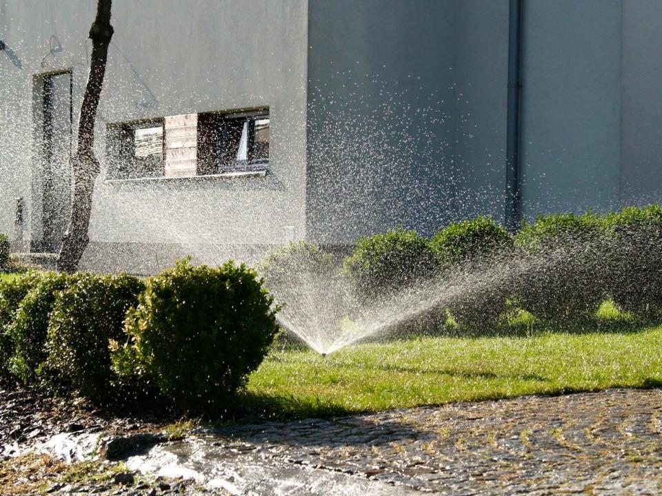 Automatyczne nawadnianie trawnika w ogrodzie z niskimi krzewami, w tle budynek z oknami. Woda rozpylana z dyszy tworzy efekt mgły.