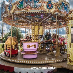 MEGALAND, Edyta Szematowicz - Wyjazdy Integracyjne Dla Firm Gorz&oacute;w Wielkopolski