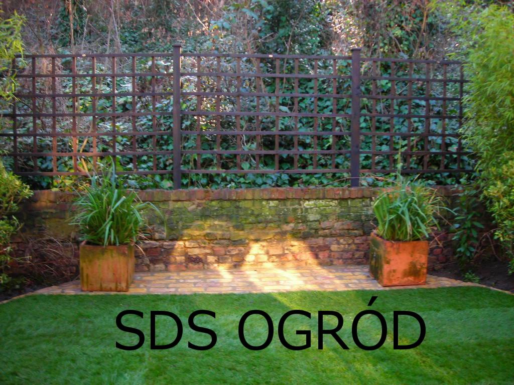 Ogród z trawnikiem, ceglanym murem porośniętym bluszczem, drewnianą kratą i donicami z roślinami, oświetlony popołudniowym słońcem.