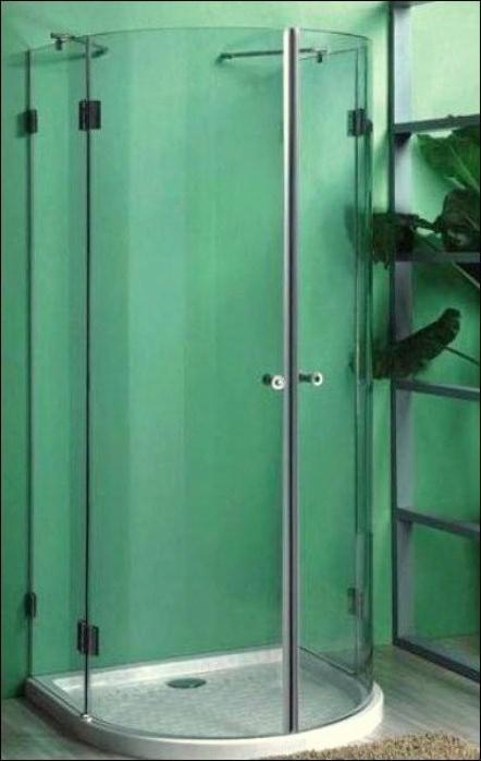 Zamknięta kabina prysznicowa z zaokrąglonymi drzwiami, chromowanymi zawiasami i uchwytami na tle zielonej ściany i metalowego regału z rośliną.