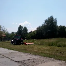 Czerwony traktor z kosiarką rotacyjną kosi wysoką trawę na łące w słoneczny dzień. W tle widoczny dom z czerwonym dachem i drzewa.