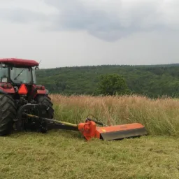 Koszenie łąk, nieużytków rolnych, usuwanie zakrzaczeń wraz z porządkowaniem posesji.