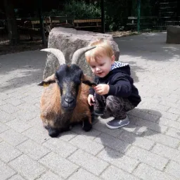 Chłopiec kuca obok kozy z dużymi rogami na brukowanym placu, w tle widać kamień i zielone ogrodzenie. Dziecko trzyma coś w dłoni, prawdopodobnie karmi zwierzę.