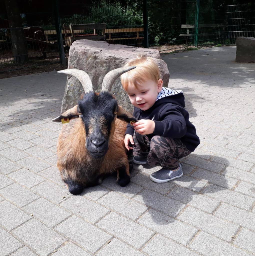 Chłopiec kuca obok kozy z dużymi rogami na brukowanym placu, w tle widać kamień i zielone ogrodzenie. Dziecko trzyma coś w dłoni, prawdopodobnie karmi zwierzę.