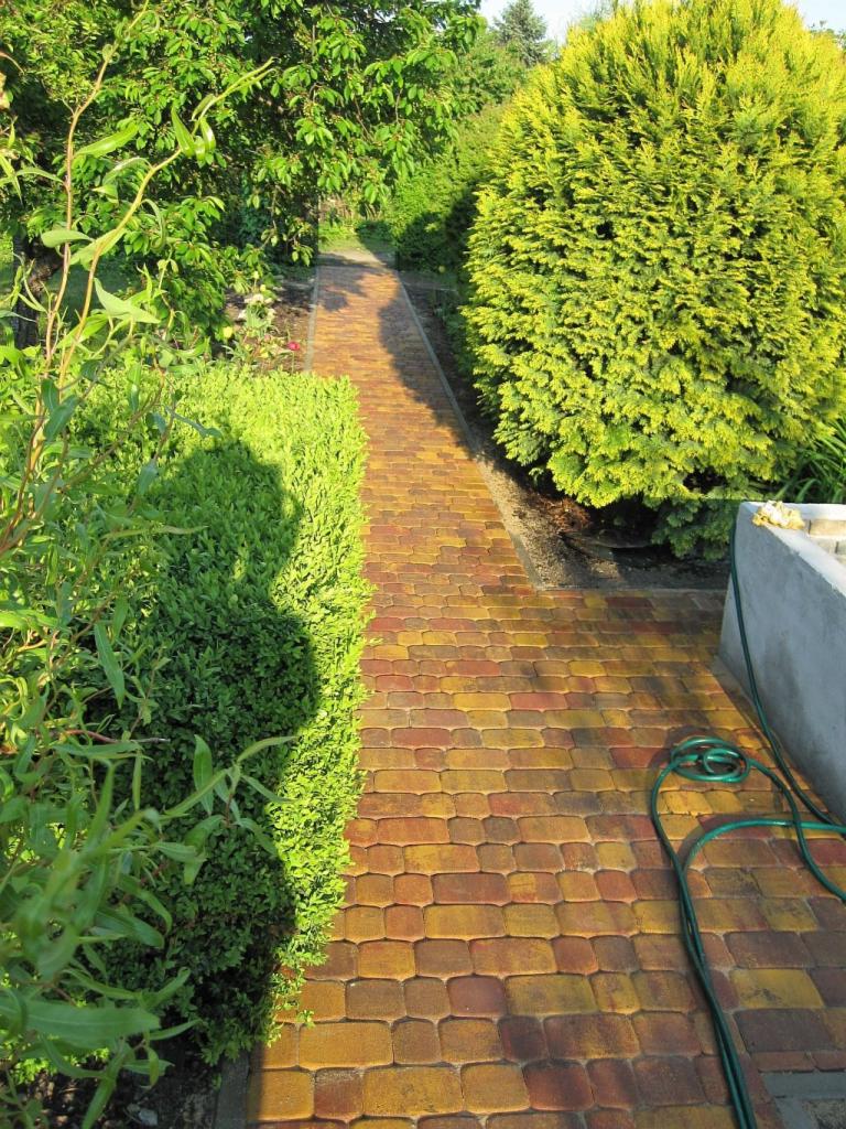Ścieżka z kostki brukowej w ogrodzie, prowadząca przez zielone krzewy i drzewa. Kostka w odcieniach żółci i czerwieni tworzy wzór. W tle widoczne drzewa.