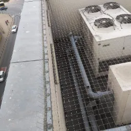 Montaż siatki przed ptakami.