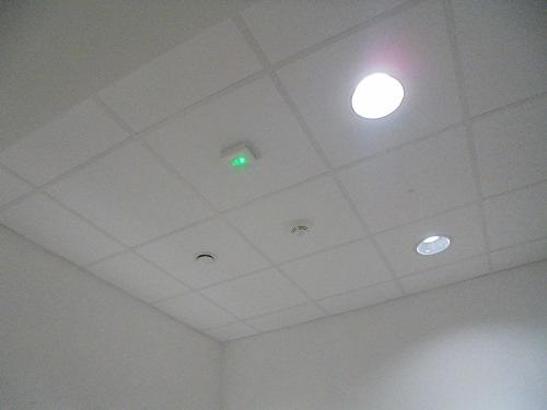 Biały sufit kasetonowy z widocznymi oprawami oświetleniowymi, czujnikiem dymu i lampką awaryjną z zieloną diodą.