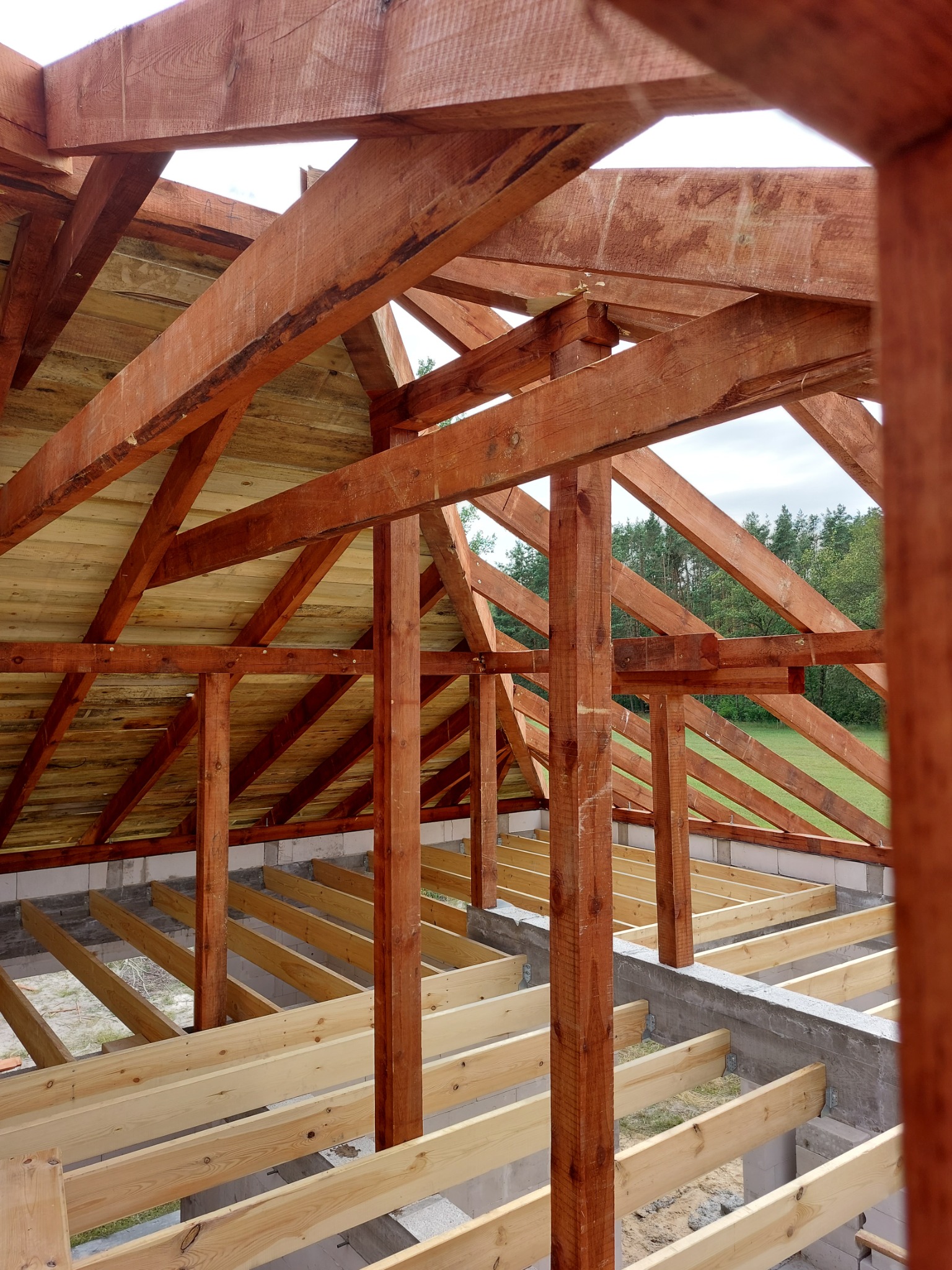 Surowa drewniana konstrukcja dachu w trakcie budowy, widok z wnętrza, z widoczną więźbą i deskowaniem, z elementami impregnowanymi na kolor czerwono-brązowy.