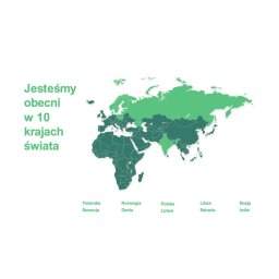 Fortum Marketing and Sales Polska S.A. - Dostawca Gazu Opałowego Gdańsk