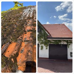 ZmyjTo - Porównanie dachu przed i po czyszczeniu: zarośnięty mchem i czysty, czerwony dach z dachówki ceramicznej, dom z białymi ścianami i zielonym bluszczem.