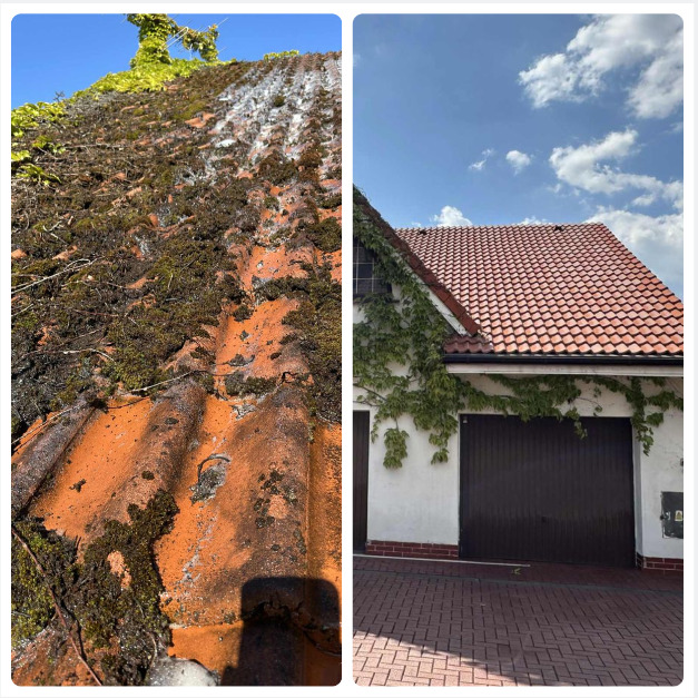 Porównanie dachu przed i po czyszczeniu: zarośnięty mchem i czysty, czerwony dach z dachówki ceramicznej, dom z białymi ścianami i zielonym bluszczem.