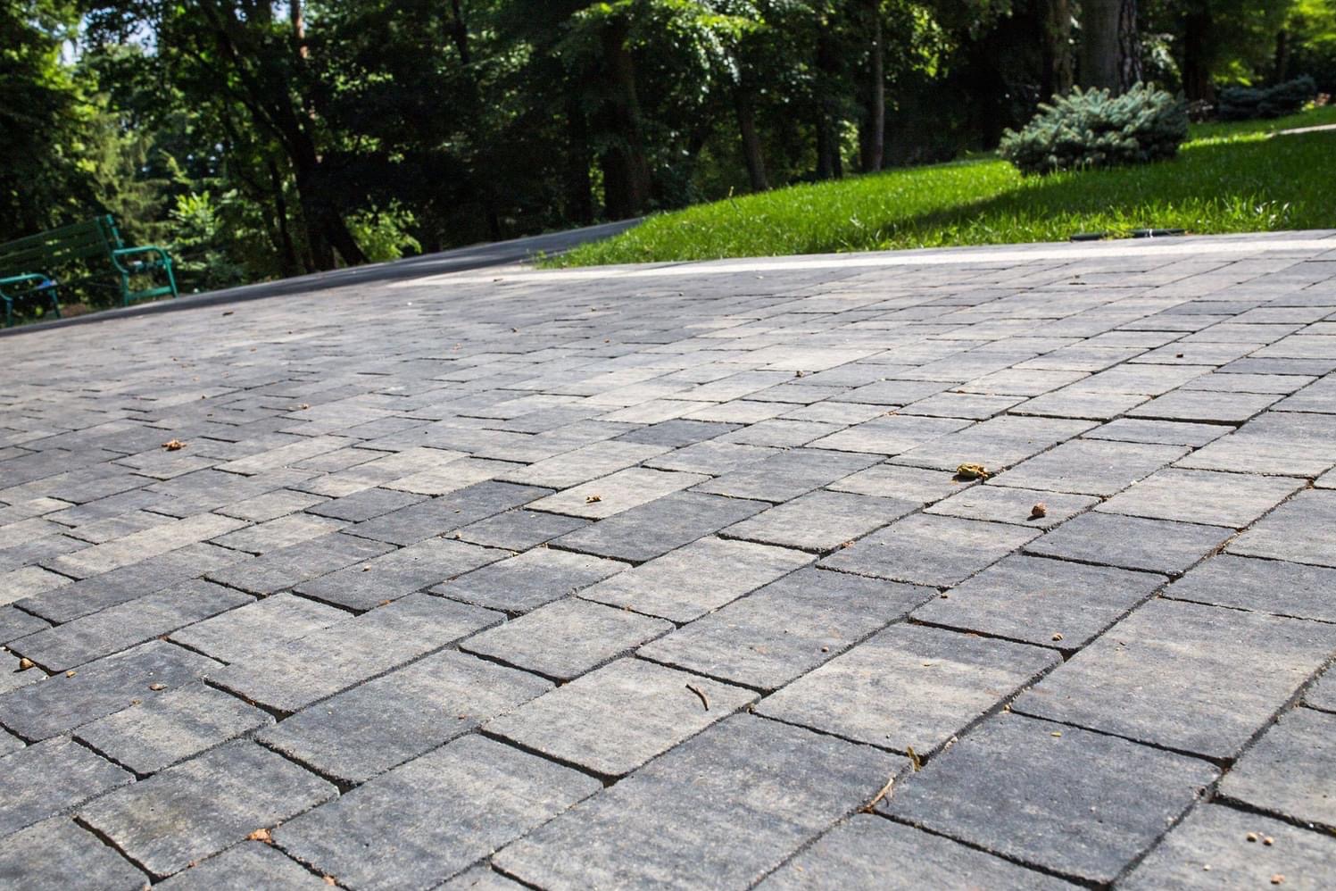 Ułożona nawierzchnia z szarej kostki brukowej w parku, widoczne drzewa i trawnik w tle, kilka suchych liści na kostce.