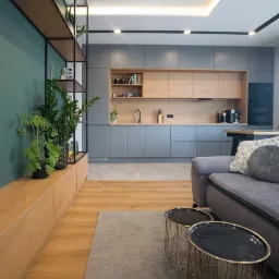 Nowoczesne wnętrze mieszkania z szarą zabudową kuchenną, drewnianymi akcentami, zieloną ścianą i roślinami doniczkowymi na półkach.