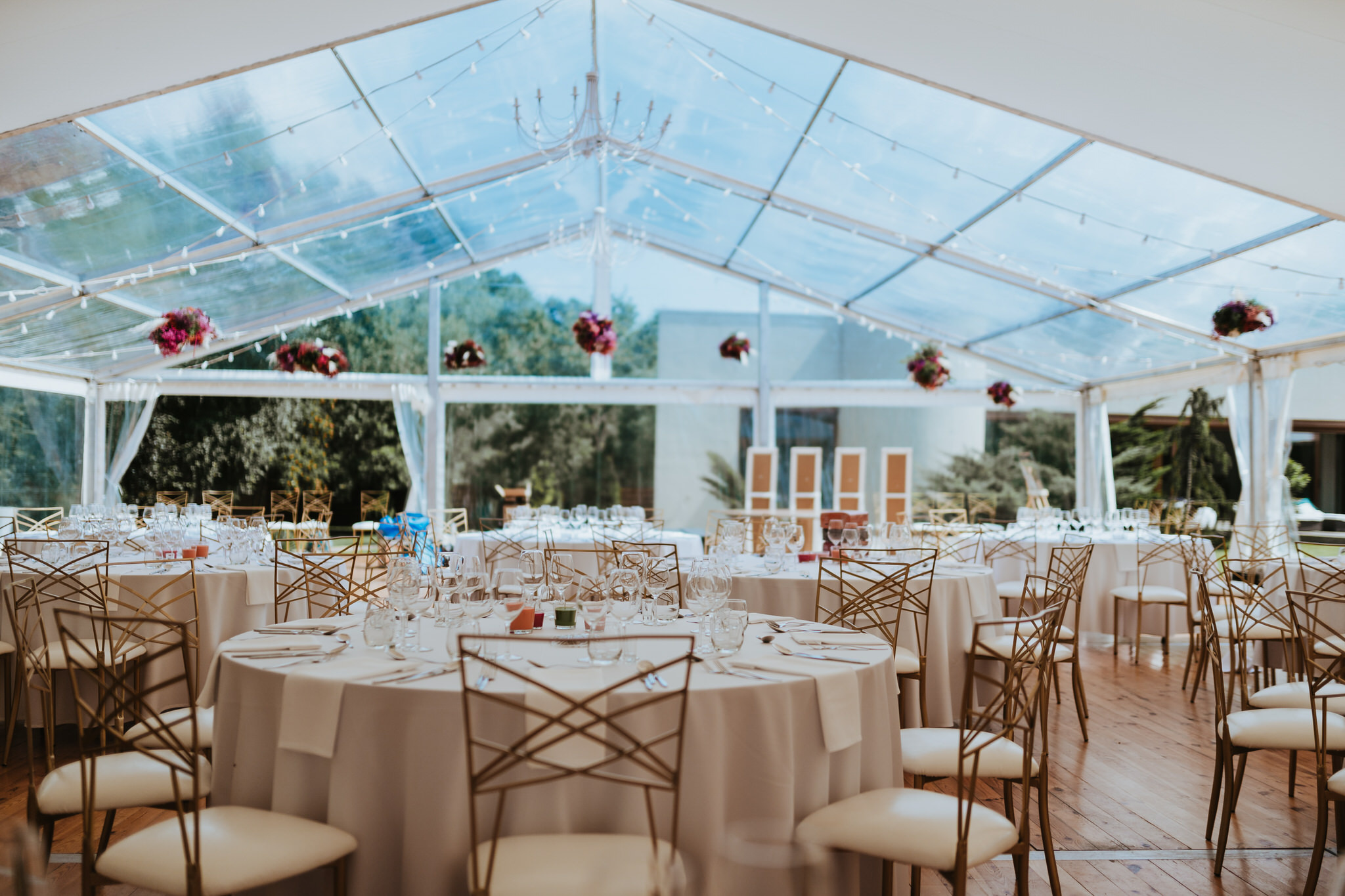 Elegancko nakryte stoły z białymi obrusami i złotymi krzesłami w przestronnym, przezroczystym namiocie eventowym, ozdobionym kwiatowymi dekoracjami i delikatnymi lampkami.