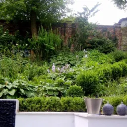 Bujny ogród z różnorodną roślinnością na zboczu, z widoczną ceglaną ścianą w tle, dekoracyjnymi kulami i metalowym wiaderkiem na pierwszym planie.