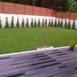 Nowoczesny ogród z drewnianym tarasem, równo przystrzyżonym trawnikiem i rzędem małych drzewek wzdłuż białego muru z drewnianym płotem w tle.