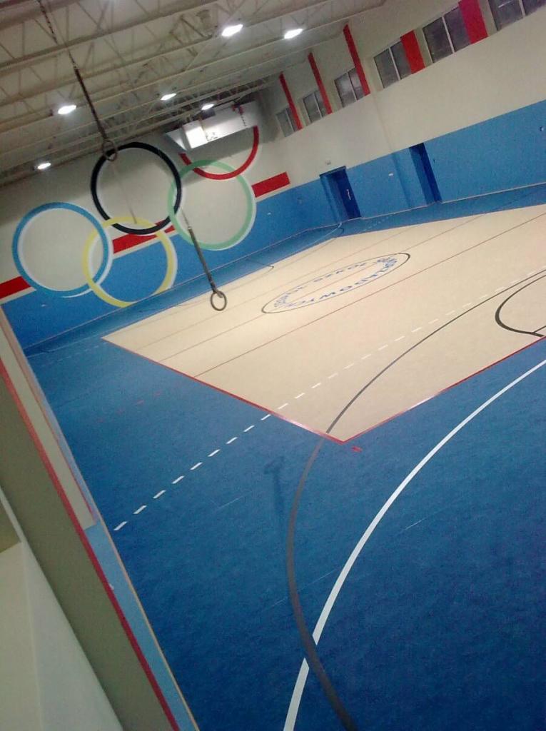 Widok z góry na podłogę w hali sportowej z niebieską i beżową nawierzchnią, białymi liniami boiska i wiszącymi obręczami gimnastycznymi na tle ściany z motywem kół olimpijskich.