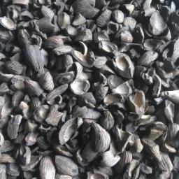 EKOBIOPOL Sp. z o.o. - Pellet Kołobrzeg