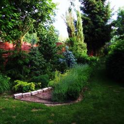 Projektowanie ogrodów Lublin 51