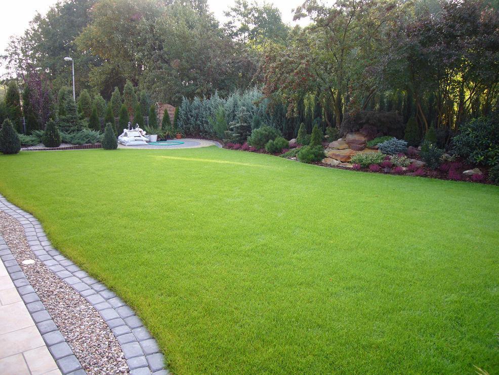 Rozległy, idealnie utrzymany trawnik z regularnie koszoną trawą, obrzeża z kostki brukowej i kamyczków, w tle ozdobne krzewy, drzewa iglaste i skalniak z różnorodną roślinnością.