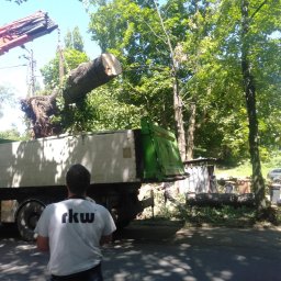 RKW Ryszard Kuba - Ciężarówka z dźwigiem załadowuje ścięte drzewo. Widoczny mężczyzna w białej koszulce obserwujący załadunek. W tle zieleń drzew i zaparkowane samochody.