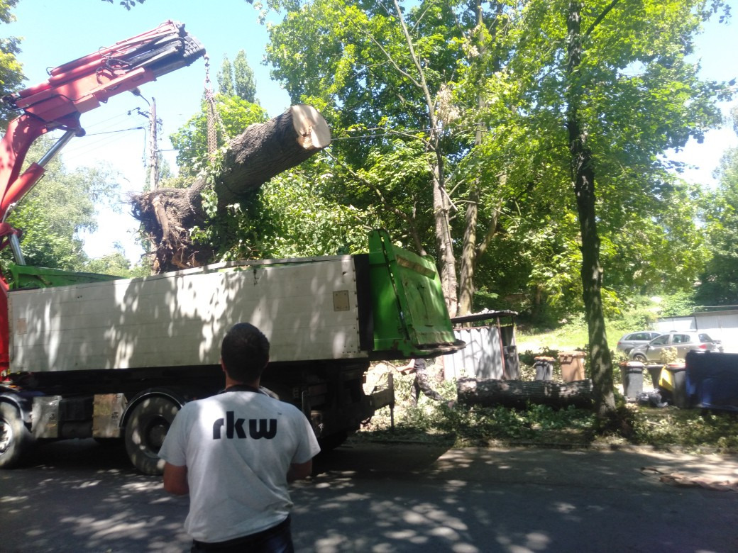 Ciężarówka z dźwigiem załadowuje ścięte drzewo. Widoczny mężczyzna w białej koszulce obserwujący załadunek. W tle zieleń drzew i zaparkowane samochody.