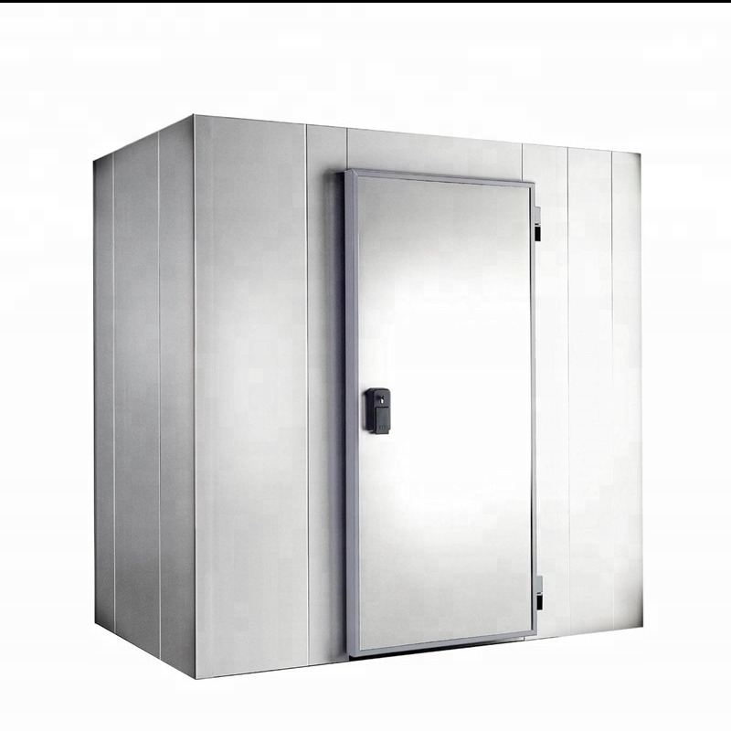 Komora chłodnicza z metalowymi panelami i drzwiami z zamkiem, widok z zewnątrz. Konstrukcja z płyt PUR, montaż agregatów chłodniczych.