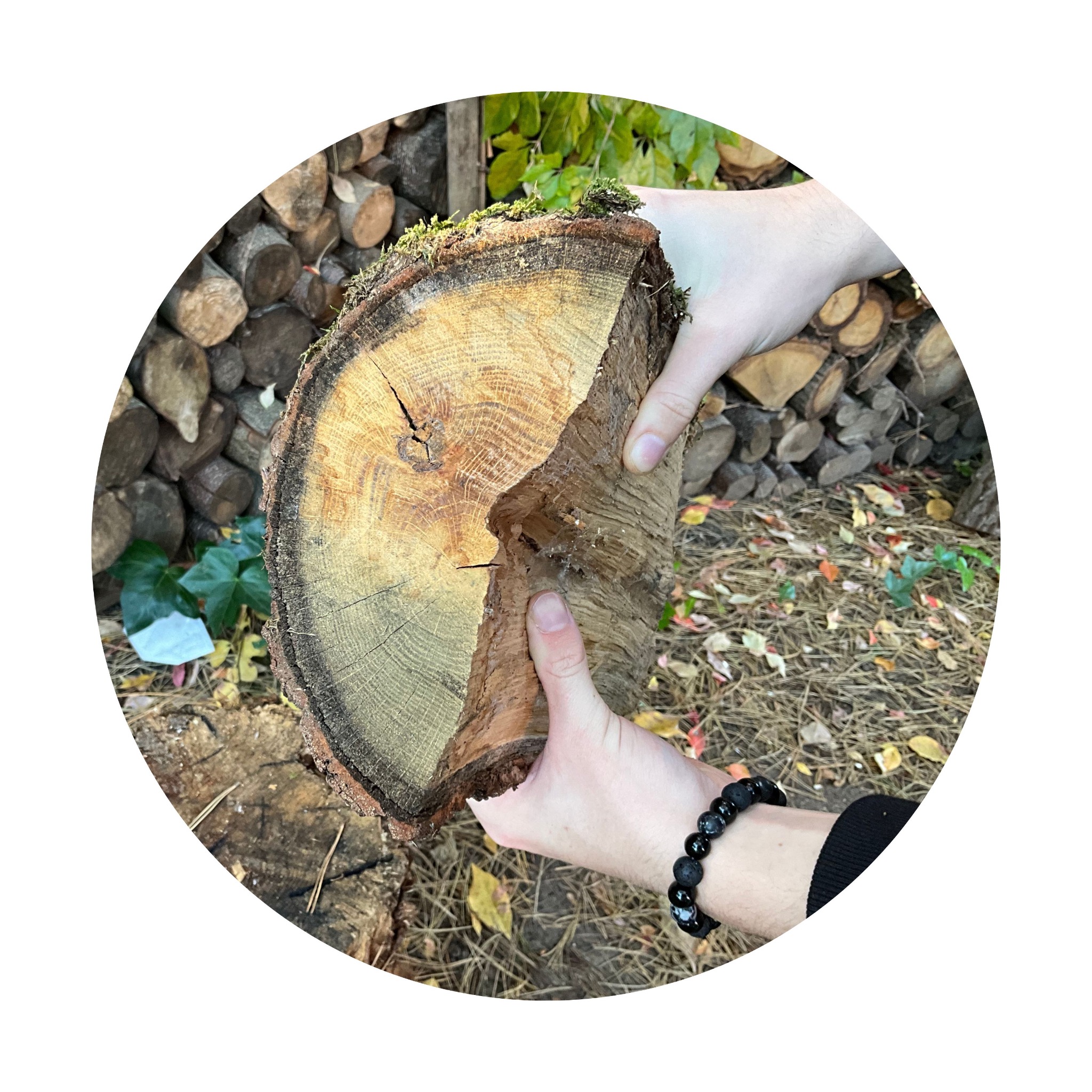 Drewno grubo łupane.