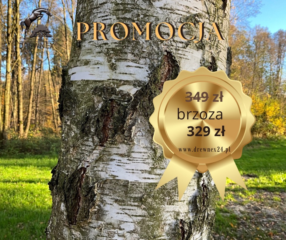 Pień brzozy z naklejoną grafiką promocyjną oferty sprzedaży brzozy w cenie 329 zł, widoczne logo firmy DrewNEX i adres strony internetowej.