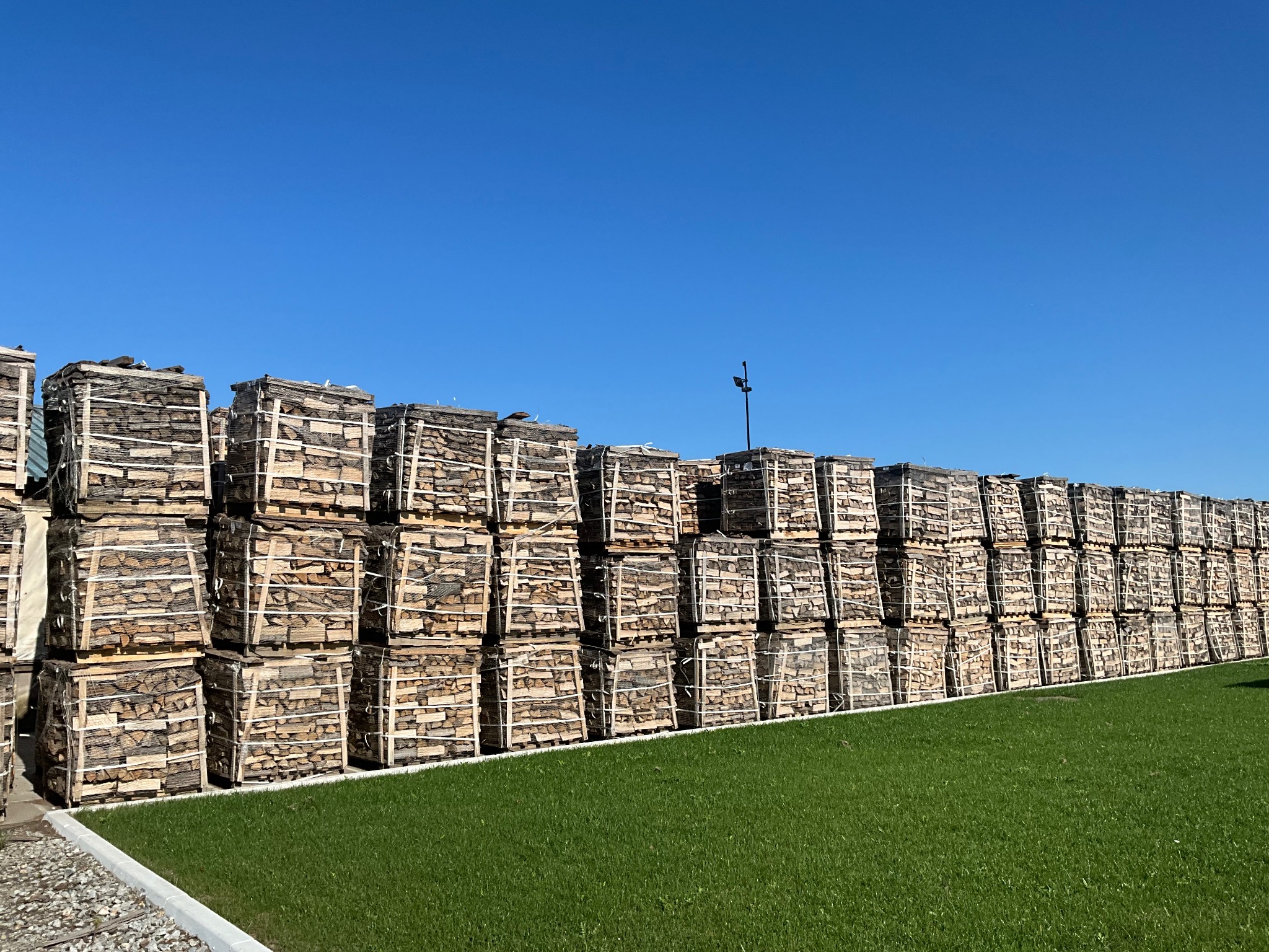 Rząd palet z pociętym drewnem ułożonych w stosy na zewnątrz, z zieloną trawą i błękitnym niebem w tle.
