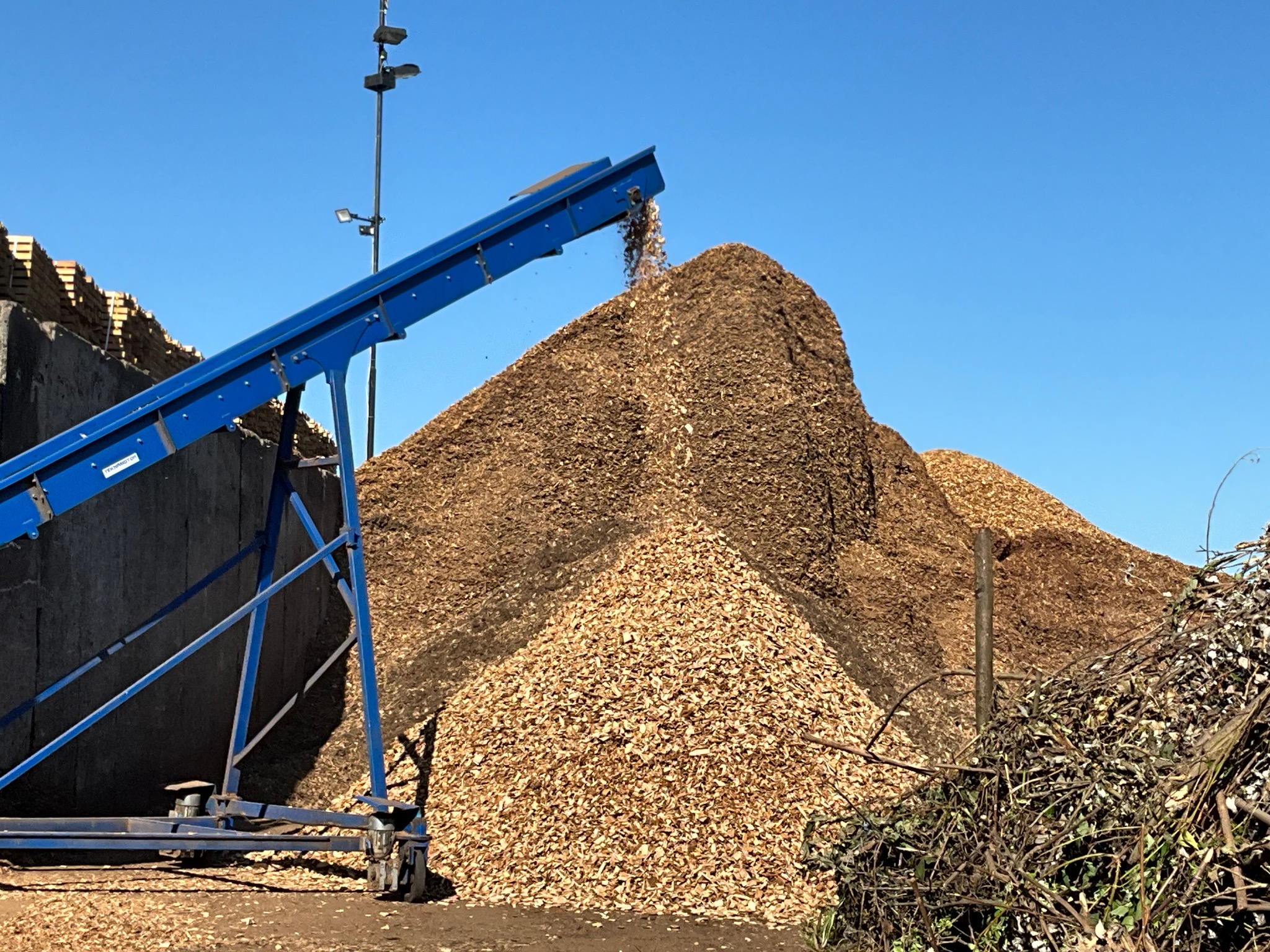 Góra zrębków drzewnych usypywana przez niebieski przenośnik taśmowy na tle błękitnego nieba.