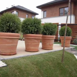 Cztery duże, terakotowe donice z kulistymi tujami na tle nowoczesnego domu z drewnianą elewacją i zadbanego trawnika, tworzące elegancką aranżację ogrodu.