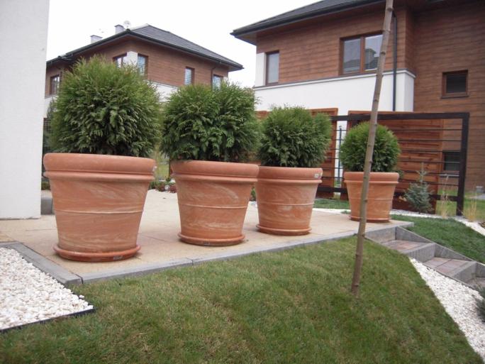 Cztery duże, terakotowe donice z kulistymi tujami na tle nowoczesnego domu z drewnianą elewacją i zadbanego trawnika, tworzące elegancką aranżację ogrodu.
