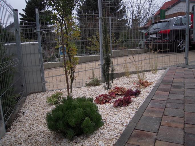 Ogródek z białymi kamykami, niską zielenią i ozdobnymi trawami, oddzielony od podjazdu kostką brukową. W tle metalowe ogrodzenie panelowe i zaparkowany samochód.
