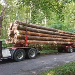 "Wiking" Transport-Handel-Usługi - Belki Dachowe Nowa Jastrząbka