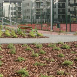 Teren zielony założony przez firmę Galicyjskie Ogrody położony koło kortu tenisowego