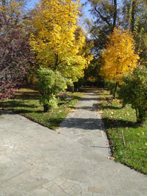 Jesienny krajobraz parku z kamienną ścieżką, drzewami o żółtych liściach i przyciętym trawnikiem.