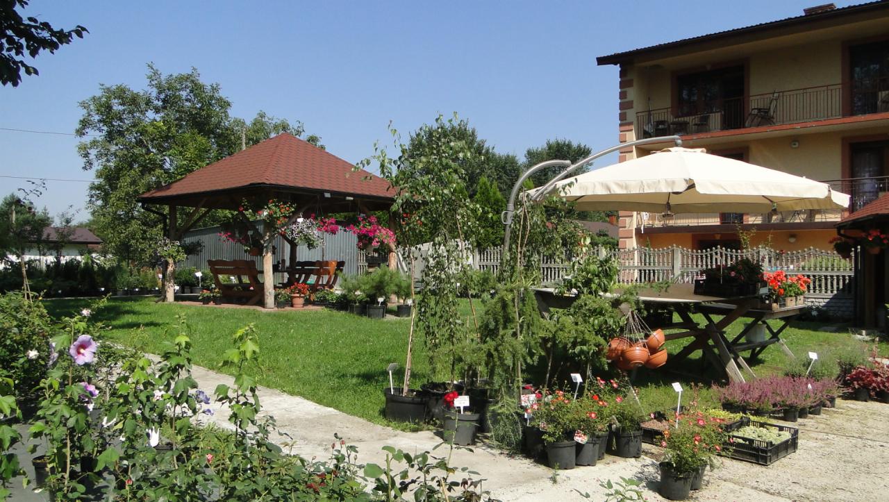 Widok ogrodu z altaną z czerwonym dachem, stołem pod parasolem i różnorodnymi roślinami w donicach, niektóre z etykietami cenowymi, na tle dwupiętrowego domu.