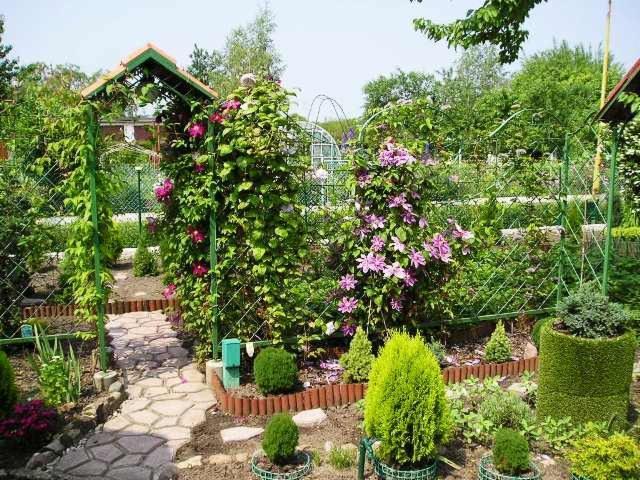 Urokliwy ogród w Niemodlinie z kamienną ścieżką, kwitnącymi pnączami na podporach i zadbanymi krzewami, otoczony zielonym żywopłotem.