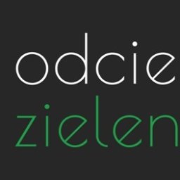 OdcienieZieleni.com - Grzegorz Zdzienicki - Świetni Trawniki z Rolki Lubartów