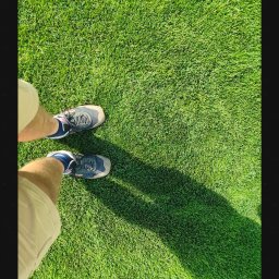 trawnik z rolki Lublin