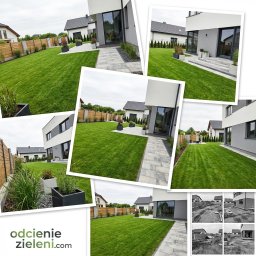 OdcienieZieleni.com - Grzegorz Zdzienicki - Przed domem Lubart&oacute;w