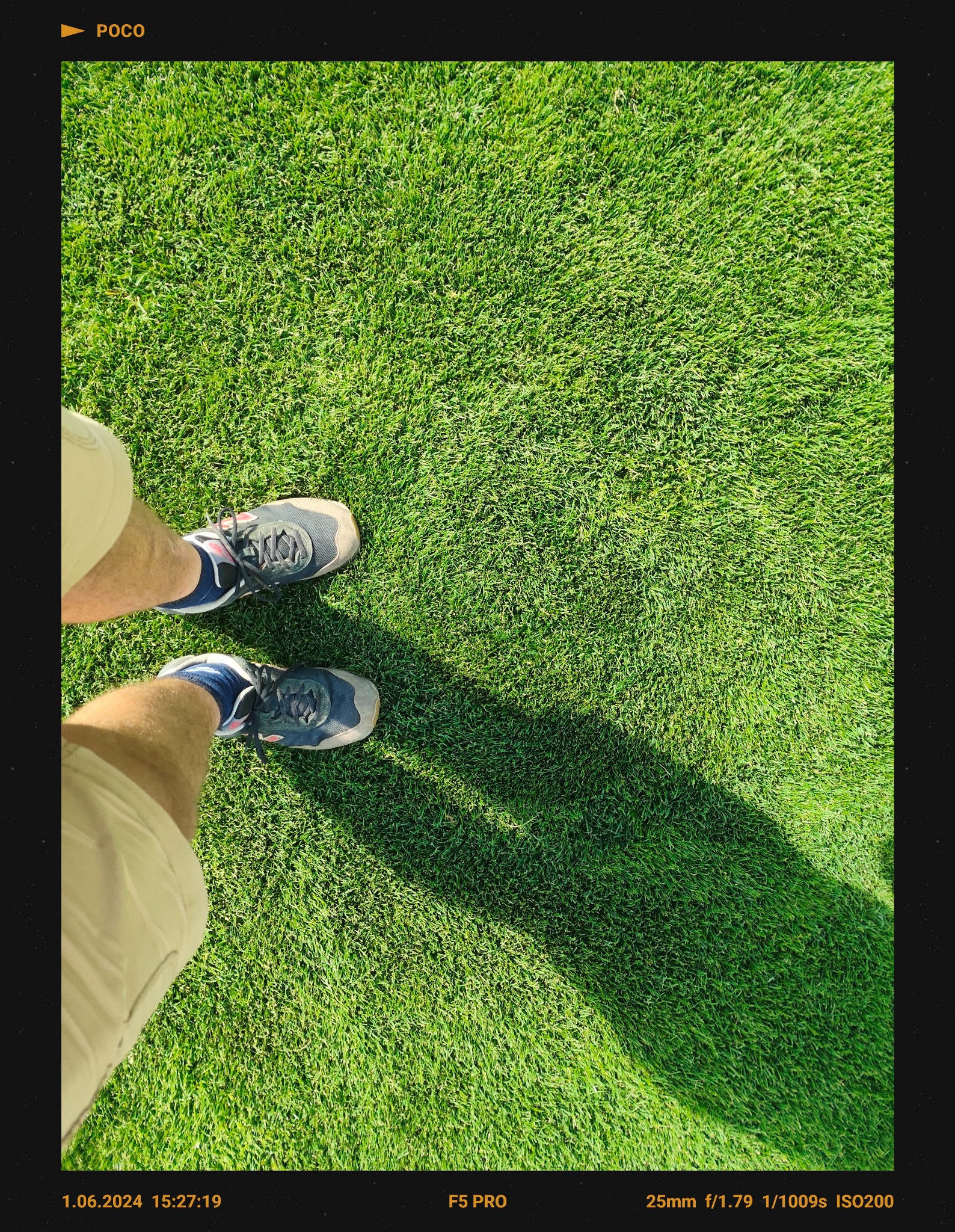 trawnik z rolki Lublin