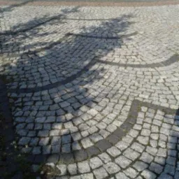 Szara kostka granitowa ułożona w łukowaty wzór wokół okrągłego klombu z krzewami, ocieniona przez drzewo.