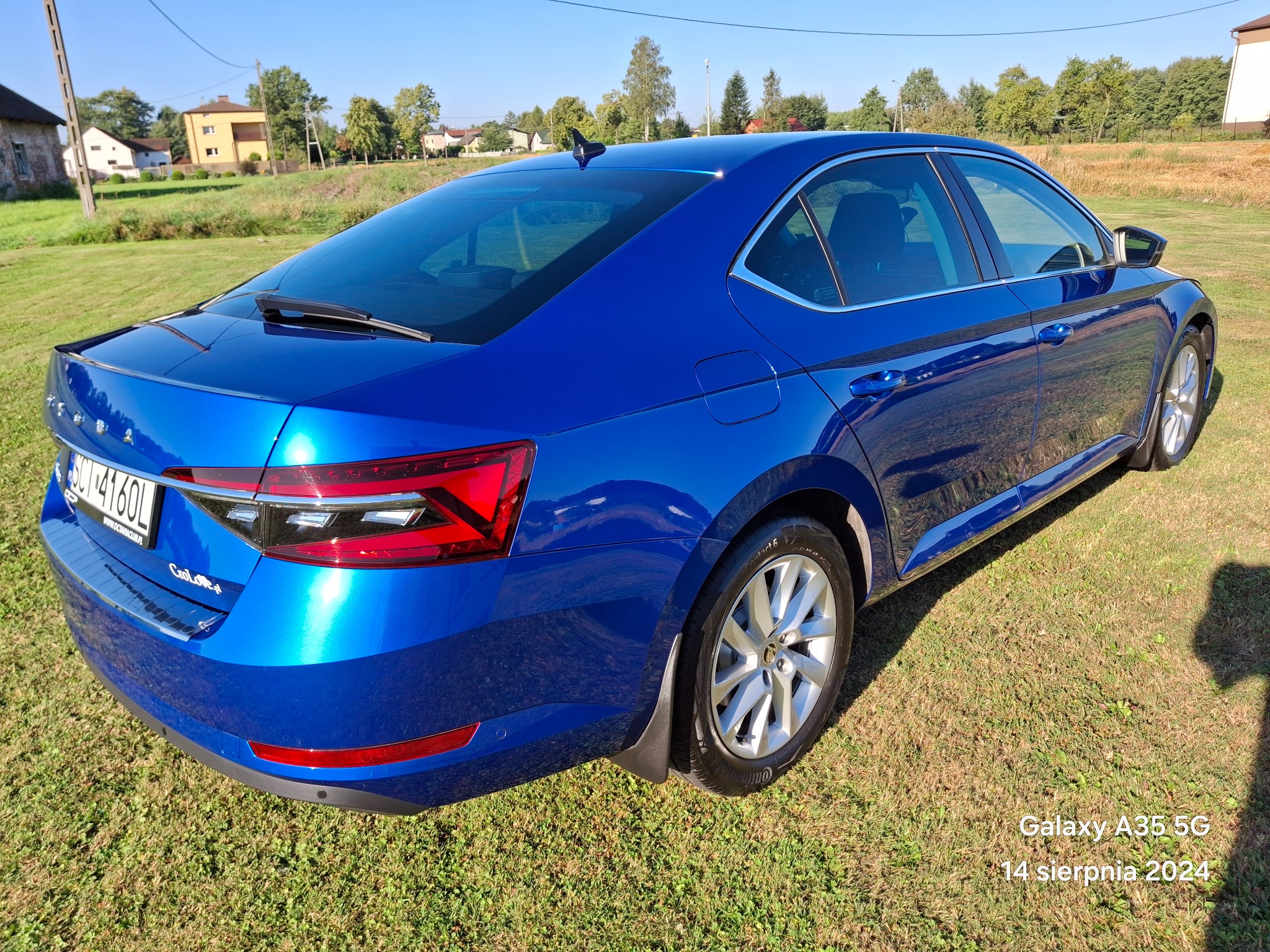 Błyszczący, niebieski samochód marki Skoda Superb, zaparkowany na trawniku w słoneczny dzień, widok z tyłu.