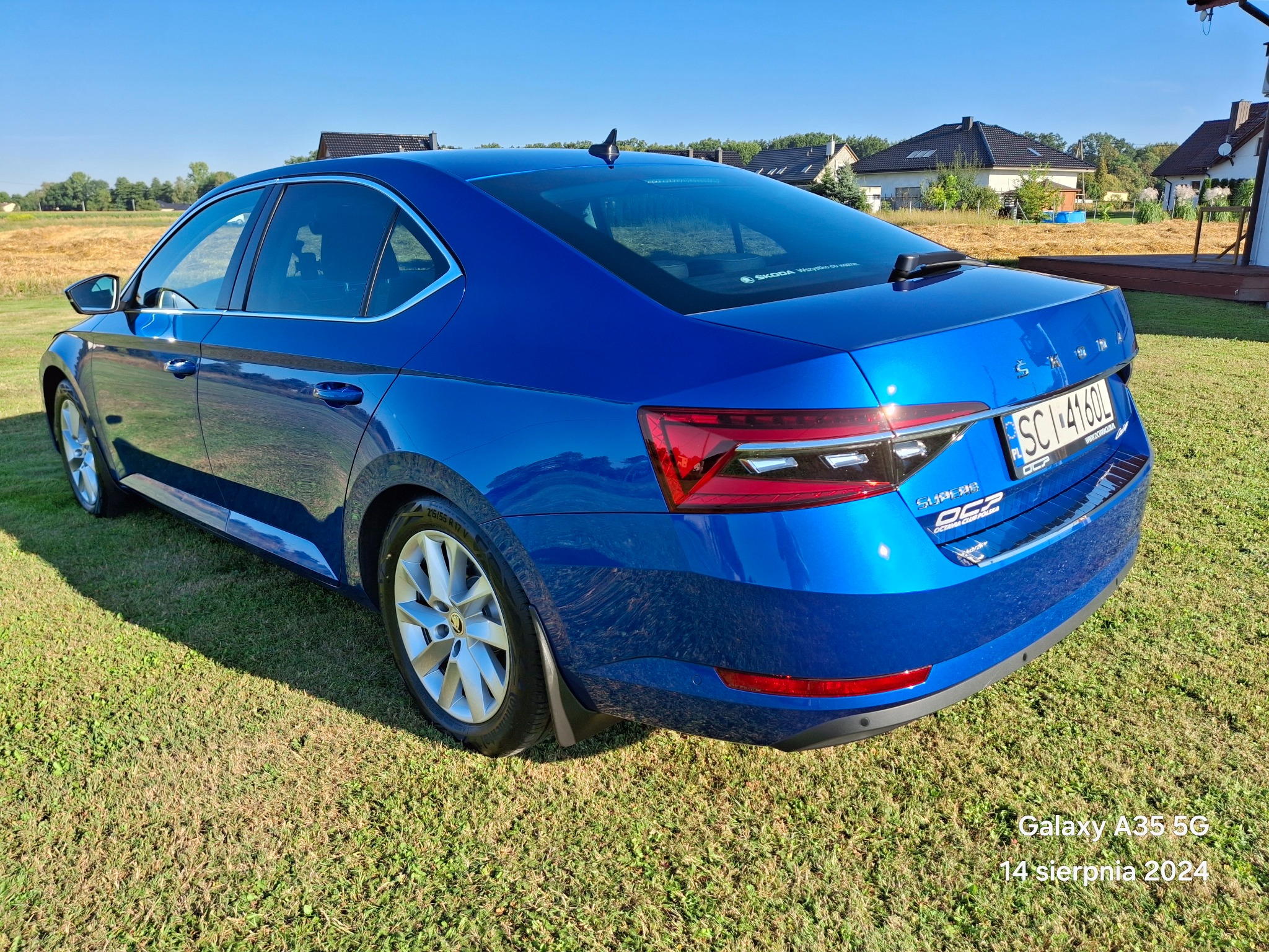 Niebieska Skoda Superb zaparkowana na trawniku przed domami jednorodzinnymi, widok z tyłu, letnie popołudnie.
