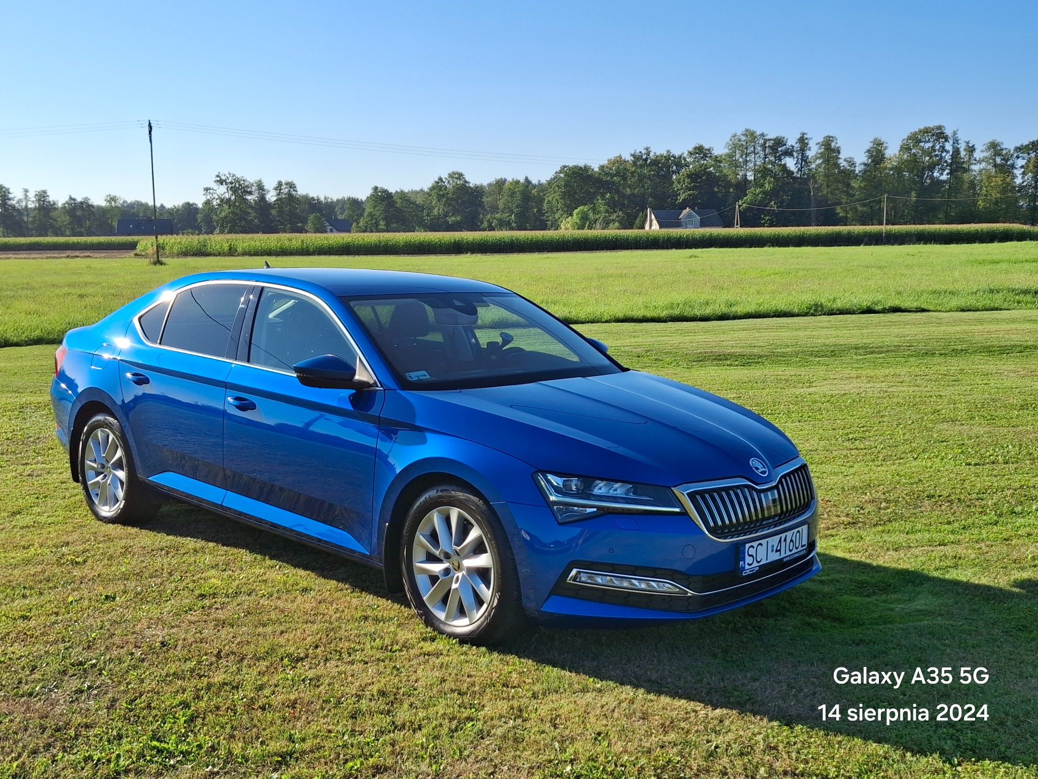 Błękitna Skoda Superb na tle zielonego pola, widoczna tablica rejestracyjna SCI 4160L, w tle drzewa i niebo.