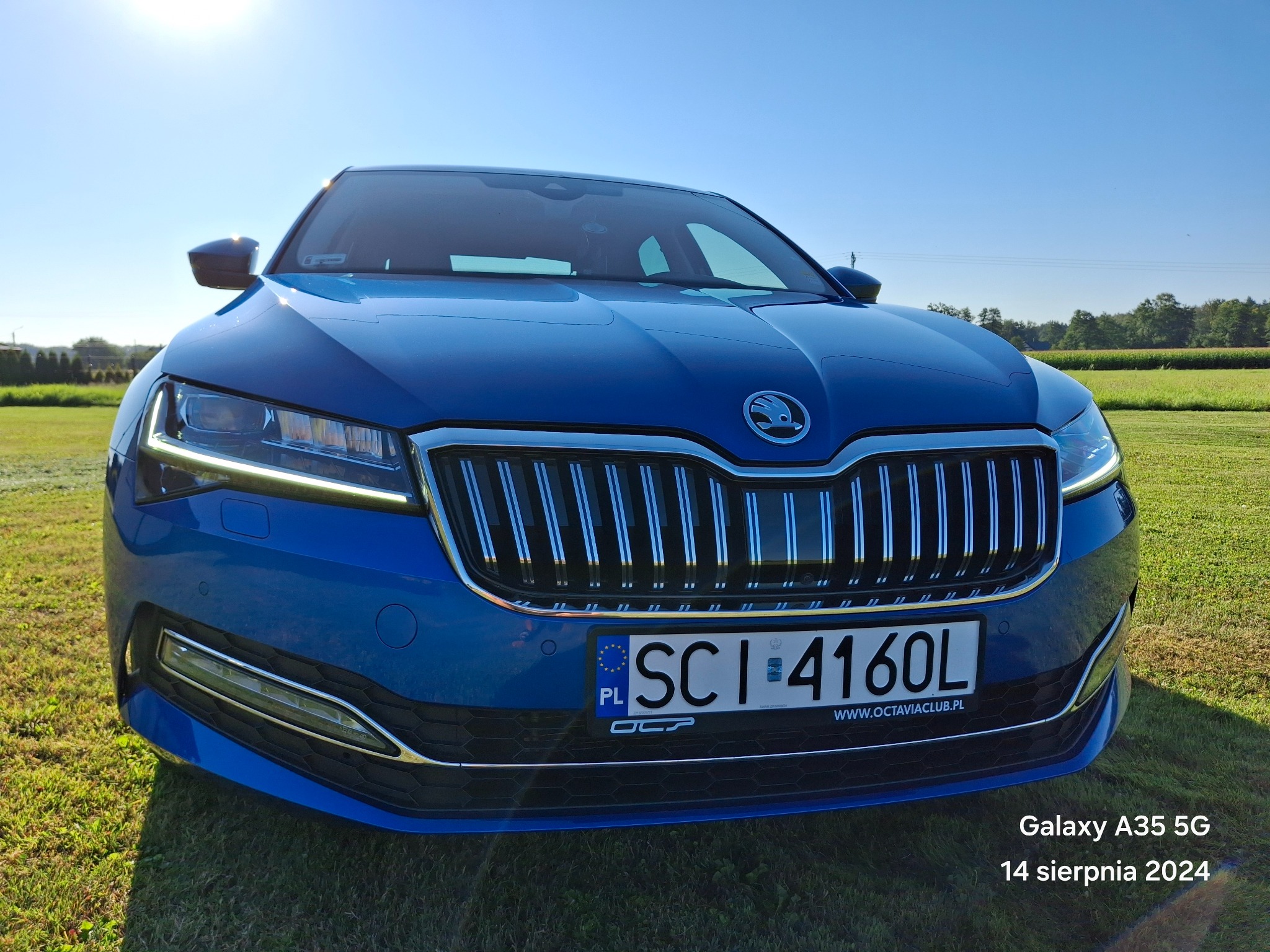 Niebieska Skoda Superb z przodu, zaparkowana na trawniku w słoneczny dzień, widoczna tablica rejestracyjna i logo Octavia Club.